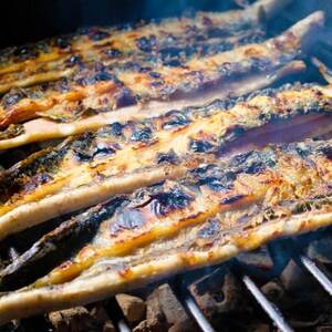 うなぎ 手焼きうなぎの蒲焼き 職人 うなぎ【1尾×6回】【定期便】