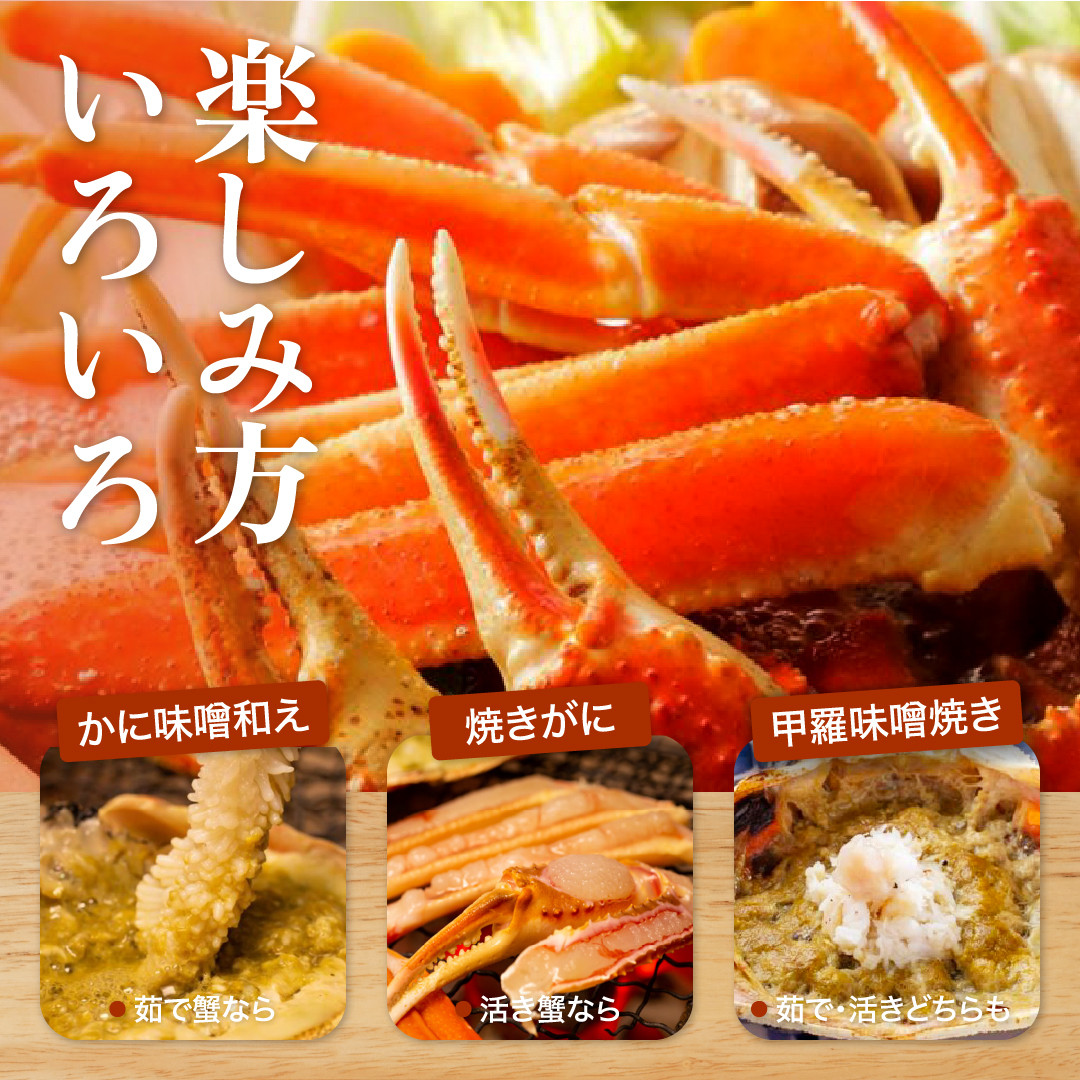 【2025年12月～2026年1月発送】特撰 松葉がに（茹）【ブランドタグ付き】700g超のサイズ  3杯