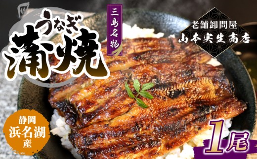 【2026年6月～順次発送】うなぎ蒲焼 1人前 1尾 冷蔵 三島名物 老舗 鰻問屋 うなぎ 蒲焼き 鰻 ウナギ 真空パック 浜名湖 土用丑の日 贈答用 惣菜 うな重 うな丼 伝統 贈り物 鰻料理 ウナギの蒲焼 和食 浜名湖うなぎ 山本実生商店 三島市 静岡県