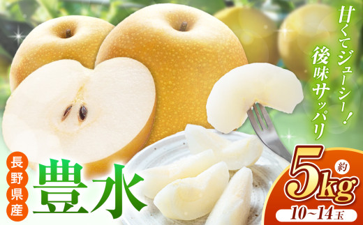 
            【先行予約】《寄附金額改定しました！》ジューシーで上品な甘さ！長野県産 豊水 約5kg （ 10 ～ 14 玉 ）【9月中旬頃～発送予定】| 果物 くだもの フルーツ 梨 なし ナシ 豊水 甘い ジューシー シャリ感 長野県 塩尻市
          