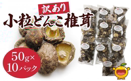 訳あり・大分産椎茸（しいたけ） どんこ椎茸 乾燥しいたけ 小粒どんこ 50g×10パック | 椎茸 椎茸小粒 干椎茸 椎茸パック しいたけ 干し椎茸 シイタケ 乾し椎茸 どんこしいたけ 菌床しいたけ きのこ ギフト 国産 産地直送 津久見市