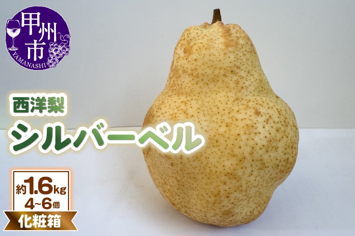 
                  童夢の西洋梨「シルバーベル」化粧箱 約1.6kg（4～6個）【2026年発送】（DOM）B-1452
                