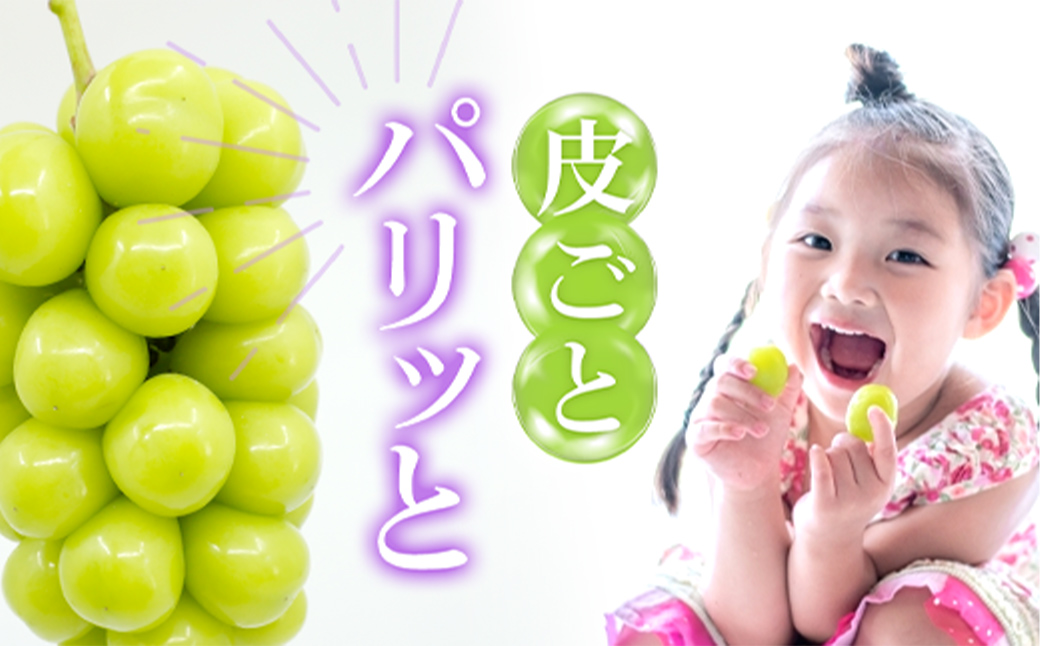 【2027年発送★先行予約】 山梨県笛吹市産 シャインマスカット 3房 約2.1kg 大房 皮ごと食べられる人気のぶどう 262-008-27y