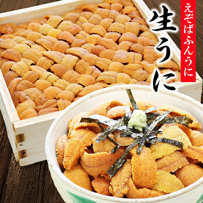 【ふるさと納税】 エゾバフンウニバラ詰め 600g × 1 折 [11月中旬以降発送] うに ウニ 雲丹 バフンウニ エゾバフンうに えぞばふんうに 蝦夷バウンウニ 蝦夷ばふんうに ウニ丼 うに丼 雲丹丼 刺身 お取り寄せ グルメ 海鮮 北海道 根室市 D-73006