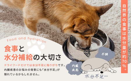 【MANMA BUONO】犬の手作りごはん お試しBセット5種｜京都 ペットフード ブランド 有名 人気ペットフード