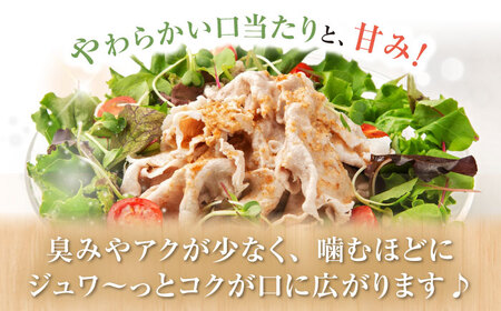 【訳あり】【月1回約2kg×12回 定期便 】大西海SPF豚 こま切れ 計24kg＜大西海ファーム＞[CEK100] 豚 豚肉 肉 国産豚 切り落とし 豚 切り落とし 豚 切り落とし 国産 国産切り落