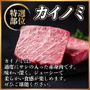 飛騨牛　カイノミステーキ約800g【配送不可地域：離島】【1530706】