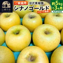 【ふるさと納税】《定期便3ヶ月》パリパリ食感シナノゴールド ご家庭用 約5kg（14～23玉前後）×3回 計15kg 3か月 3ヵ月 3カ月 3ケ月