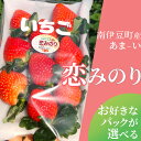 【ふるさと納税】【予約受付】【2025年3月から5月順次発送予定】完熟いちご恋みのり 選べる2パック/4パック（DXパック）送料無料 みなみのいちご園 いちご 生いちご イチゴ 苺 甘い 恋みのり 560g 1120g人気 大人気 おすすめ 静岡 果物 フルーツ 甘い 南伊豆町産 静岡県 静岡