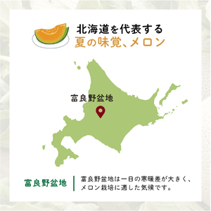 【2026年8月～発送】JAふらの 赤肉メロン 2玉 計3.2kg 富良野市 メロン フルーツ 果物