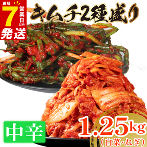 中辛 白菜キムチ 1kg+ ねぎキムチ 250g 計1.25kg 小分け お米 ご飯 おつまみ キムチ鍋 お取り寄せ 旬 野菜