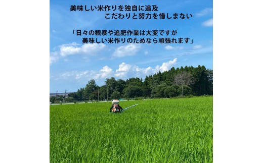 令和8年産 先行予約 上越市産 コシヒカリ 5kg 5キロ 定期便  定期便3回　精米 新潟県 上越市 板倉区 コメランド こしひかり 限定 おすすめ 米 コメ