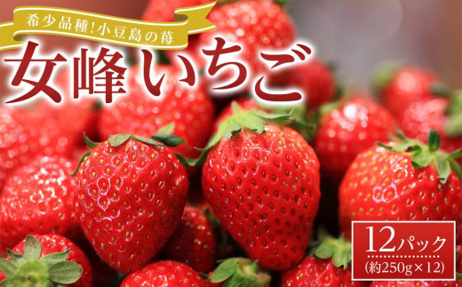 【2026年2月中旬より発送】希少品種！小豆島の苺「女峰」12パック(1パック約250g)