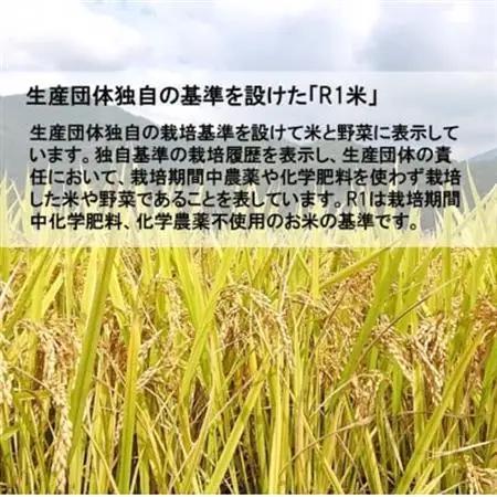 【栽培期間中化学肥料・化学農薬不使用】令和7年産R1米コシヒカリ5kg(精米)【1448692】