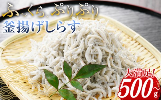 
                  ＼注文数急上昇／釜揚げしらす 500g〜2kg 【選べる容量】｜しらす職人厳選 ふっくら&ぷりぷり 那智勝浦町 海鮮 魚介類 釜揚げしらす おすすめ 魚介 小魚 魚 鮮魚 シラス しらす しらすごはん しらす丼 しらすパスタ しらすピザ しらすだし巻き卵 和歌山県産しらす
                