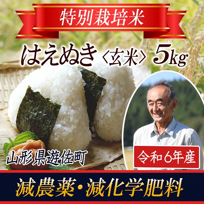 特別栽培米 はえぬき 玄米 5kg 山形県遊佐産 鳥海山の恵（令和6年産米）