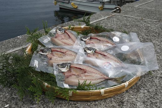 【一本釣り 匠の漁】天然三崎アジ一夜干しセット 5枚＜海鮮 魚 愛媛 伊方＞