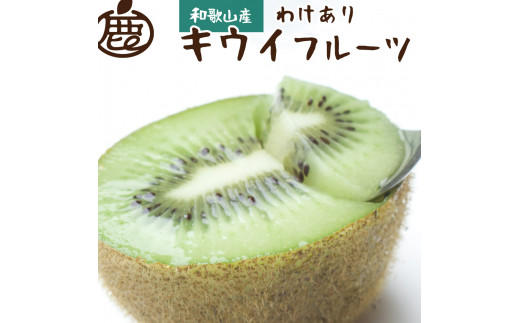 ＜11月より発送＞家庭用キウイフルーツ2kg+60g（傷み補償分）【わけあり・訳あり・扁平果】 ※北海道・沖縄・離島への配送不可 / 和歌山 フルーツ 果物 キウイ キウイフルーツ おすすめ【ikd137B】 