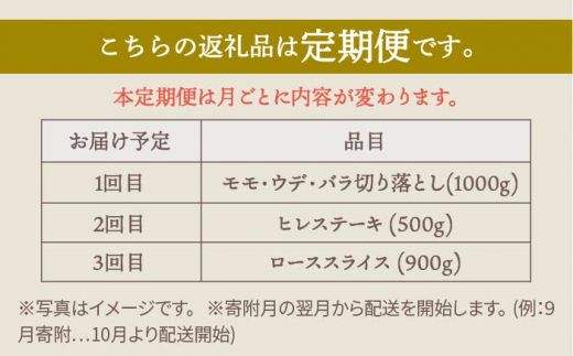 【肉のプロが厳選！】【全3回】佐賀県産和牛 極上定期便【株式会社いろは精肉店】 [IAG071]
