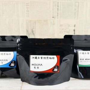 コーヒー 【自家焙煎】ブルマンブレンド・モカ・グァテマラの3種セット  BCBE008 