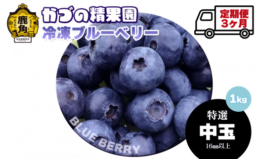 《先行予約》【定期便】ブルーベリー（冷凍）特選 中玉 1kg × 3ヶ月 【かづの精果園】●2026年9月上旬発送開始 冷凍 栄養 効果 アントシアニン サプリ 藍苺 ベリー レシピ ジャム スムージー アサイー アイス ヨーグルト 自然 秋田県 秋田 あきた 鹿角市 鹿角 かづの