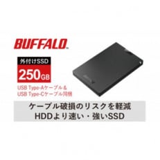 BUFFALO/バッファロー ポータブルSSD TypeA&C 250GB