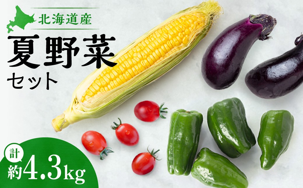 
                  【先行受付】夏野菜セット｜北海道産 とうもろこし ピーマン なす トマト セット 詰合せ 北海道 札幌市
                