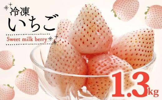 冷凍いちご 白いちご 計 1.3kg sweet milk berry  イチゴ 苺 セット フルーツ 果物 ストロベリー 国産 スイーツ デザート 苺 冷凍いちご 冷凍イチゴ 冷凍苺 果物 アイス ジャム シャーベット 氷菓 冷凍 甘い オススメ ギフト 人気   静岡苺 静岡いちご 静岡イチゴ 牧之原苺 牧之原いちご 産地直送 新鮮 静岡県 牧之原市 畠農宝