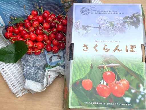 さくらんぼ（佐藤錦）３５０ｇ×２パック　手詰め　0049-2604