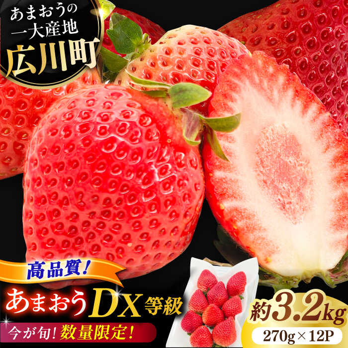 【ふるさと納税】【★先行予約★　2026年2月より発送】あまおうDX等級 6ケース（270g×12パック）　広川町 / JAふくおか八女農産物直売所どろや[AFAB006]