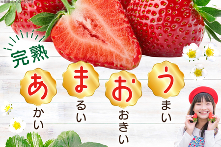 【期間限定発送】 いちご 3回 定期便 福岡県産 完熟 博多 あまおう 270g 2p 総計6p [mhshops 福岡県 筑紫野市 21761226] イチゴ 苺 フルーツ 果物 くだもの 2パック