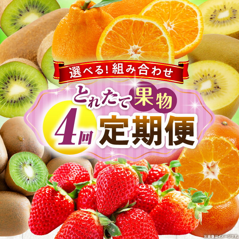 【ふるさと納税】【選べる組み合わせ】とれたて果物 4回定期便 果物 フルーツ 果物定期便 フルーツ定期便 定期便 4回 いちご キウイ デコポン ゴールドキウイ みかん 濃厚 旬の果物 定期 人気 おすすめ 贈答 贈り物 青果物 糖度 香川県 三木町 送料無料 レビューキャンペーン