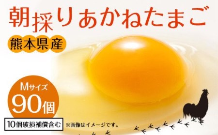 卵 朝採り あかね たまご 90個（Mサイズ）卵 10個破損補償含む