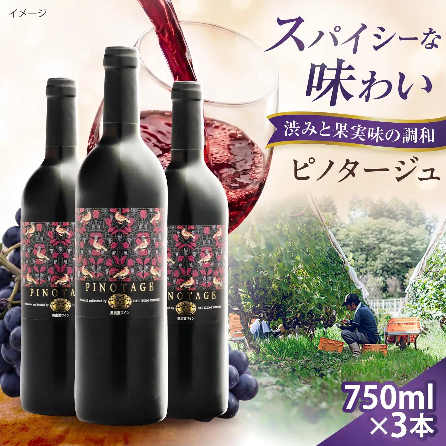 ピノタージュ 3本 750ml×3 赤ワイン 国産 島根県雲南市/有限会社奥出雲葡萄園[AICS107]