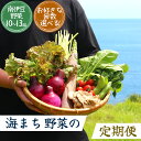 【ふるさと納税】選べる海まち野菜の定期便 10品以上 1回発送 2回発送 3回発送 6回発送 12回発送 定期便 大容量 大満足 旬 野菜 セット 定期便 1ヶ月 2ヶ月 3ヶ月 6ヶ月 12か月 1年間 お楽しみ 詰め合わせ おすすめ 美味い 山菜 きのこ 春野菜 夏野菜 秋野菜 冬野菜