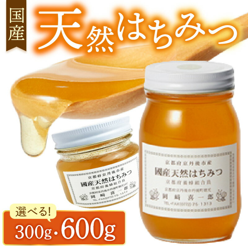 【ふるさと納税】高評価★5.0 高レビュー★ 国産天然はちみつ 300g 600g 天然 ハチミツ 天然はちみつ ビタミン 京都 はちみつ 国産 京丹後 ふるさと 納税 はちみつ 国産 ふるさと 納税 ハチミツ 蜂蜜 送料無料 京都産