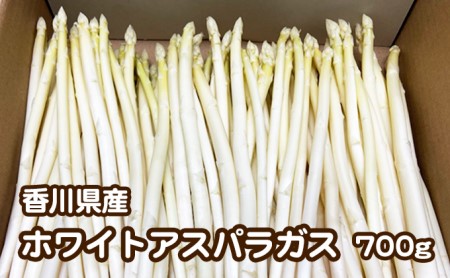 ご家庭用ホワイトアスパラガス　約700g 野菜 野菜セット 