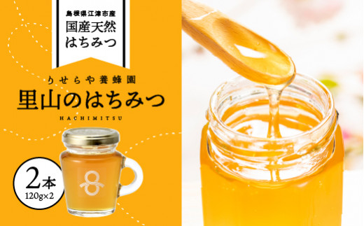 里山のはちみつ(120g×2本)セット 計240g【RY-4】｜国産 国産はちみつ 天然 はちみつ ハチミツ 蜂蜜 瓶 パン ハニートースト ホットケーキ ヨーグルト セット 島根県 江津市