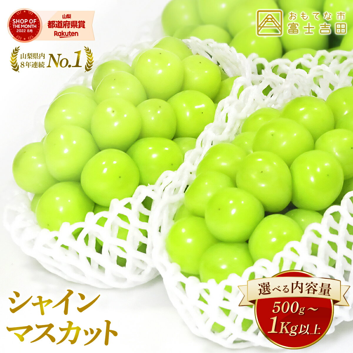 【ふるさと納税】数量限定 シャインマスカット 500g 1kg以上 2回定期便 期間限定 ガイアの夜明けで紹介されました！ フルーツ 果物 ぶどう ブドウ マスカット 厳選 ジューシー 甘さ抜群 山梨 富士吉田市 《 2025年 先行予約 》