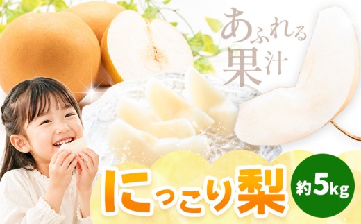栃木県芳賀町産 梨 にっこり梨 約5kg 4～8玉 手塚農園 《10月上旬-10月下旬頃出荷予定》栃木県 芳賀町 梨 なし 果物 フルーツ ふるーつ にっこり 大玉