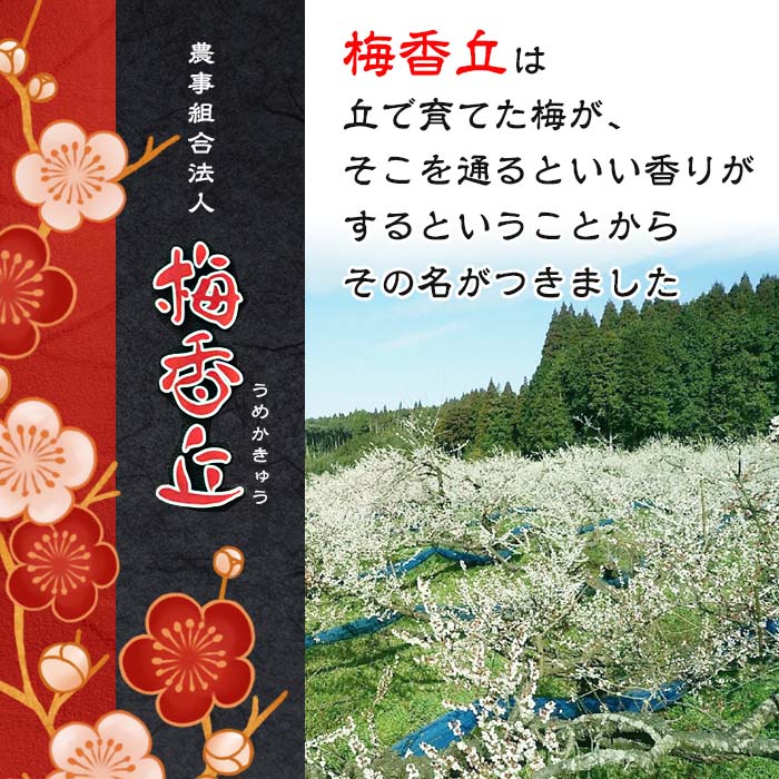 s435 はちみつ漬け梅干し(計800g・400g×2箱)3L~4Lサイズ！鹿児島県産蜂蜜使用！【梅香丘】_イメージ2