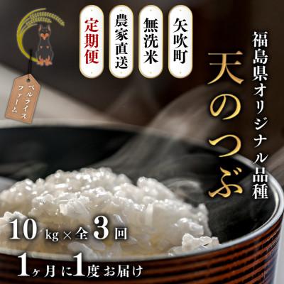 ふるさと納税 矢吹町 【発送月固定定期便】【2025年11月より順次発送予定】無洗米 農家直送 天のつぶ 10kg全3回