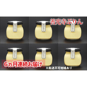 【定期便】善光寺ぷりん【オリジナル6個セット】《 3か月連続お届け 》ご当地 お取り寄せ  スイーツ ギフト お菓子 プリン