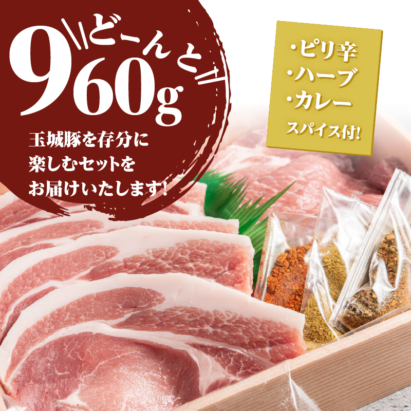 玉城豚とんてき・スパイスステーキセット