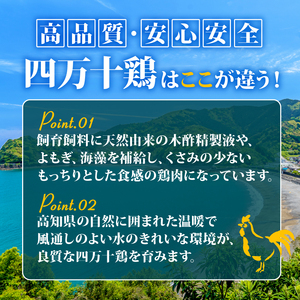 【定期便12回】銘柄鶏 四万十鶏 もも肉 計24kg（2kg×12ヶ月連続お届け) Uコース | 切身 カット 時短 小分け カット済み 鳥肉 とりにく 鶏もも 冷蔵 国産 ブランド 唐揚げ 煮物 鍋