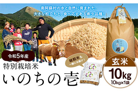 新米 令和6年産 特別栽培米 いのちの壱(玄米)10kg×1 雑穀米付き《30日以内に出荷予定(土日祝除く)》 熊本県 南阿蘇村 熊本県産 虹色のかば 雑穀米