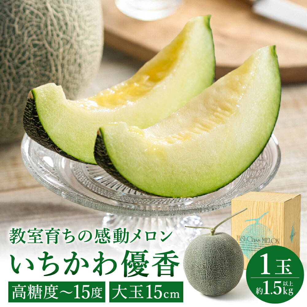 【ふるさと納税】感動メロン「いちかわ優香」1玉 / 水耕栽培 糖度13〜15度 果肉は緑色 非常に柔らかくジューシー 直径 約15cm以上（約1.5kg以上）要冷蔵保存 010HS02N.