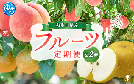 【全2回】かつらぎ町のフルーツ定期便（桃・梨）【7月・8月】【tkb425】