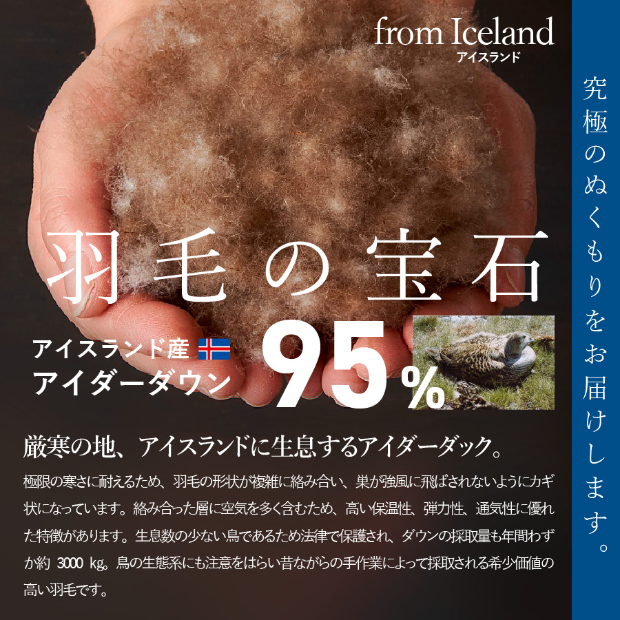 【甲州羽毛本掛けふとん】銀の糸×アイダーダウン95%二層本掛け(セミダブル / アイボリー) お任せカバー付き