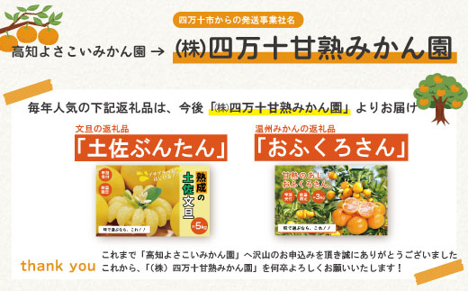 【早期受付・数量限定】農家直送!四万十みかん《おふくろさん》3kg 家庭用 予約 早期受付 数量限定 家庭用 旬 温州 温州みかん みかん 蜜柑 ミカン フルーツ 果物 くだもの 四万十市 四万十 し